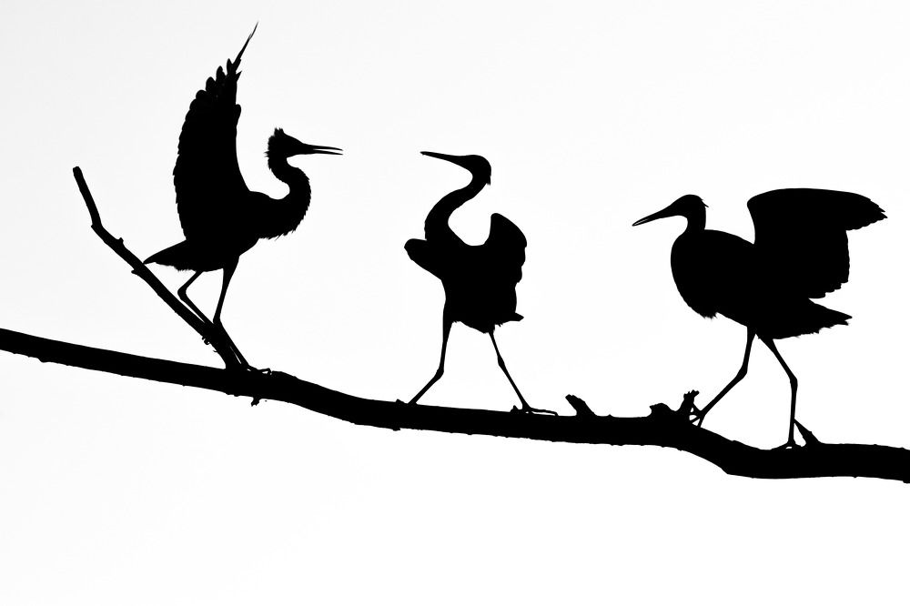 Photograph by Цветков Сергей