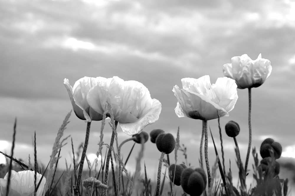 Photograph by Татьяна Дорожко