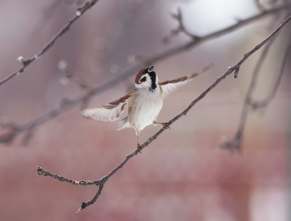 Photograph by Наталья