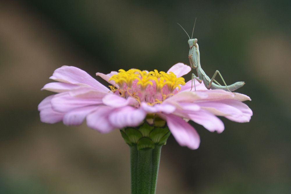 Photograph by Mohammad Amin Ghaffari