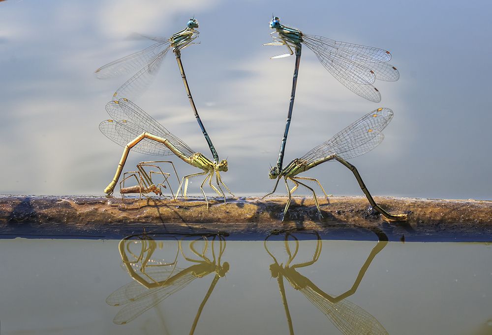 Кто-то здесь лишний…