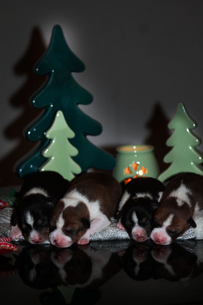 Photograph by Диана Ульянцева