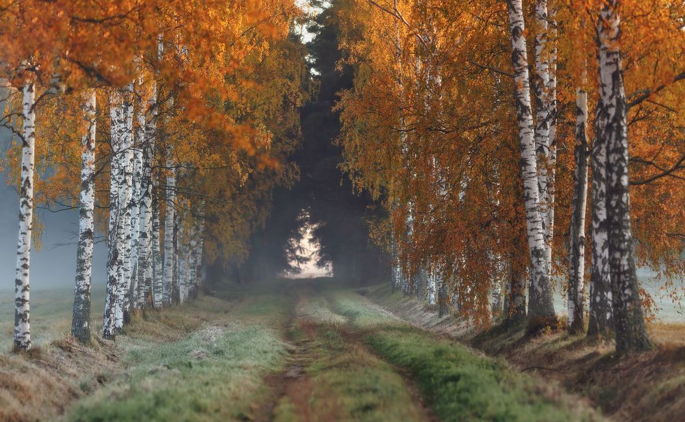 Photograph by Таня SHE (Aiya)