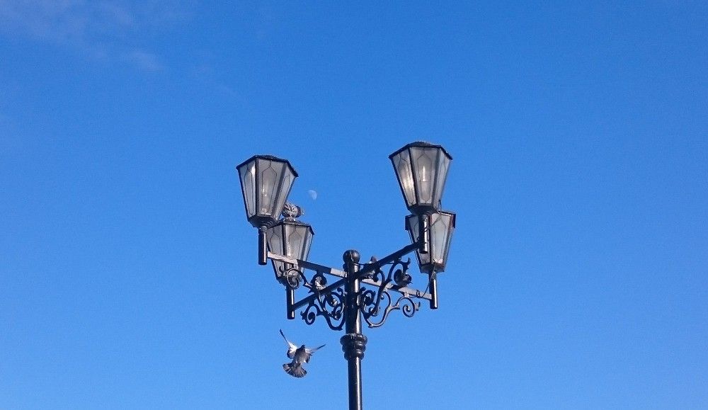 Photo #7204105