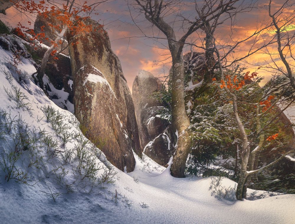 Photograph by Іван Кочержат