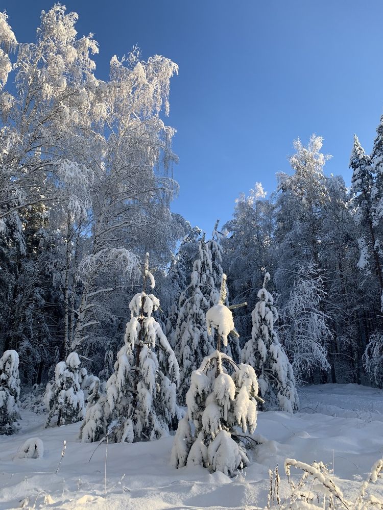 Photograph by Наталья