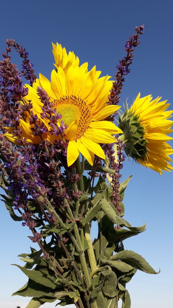 Photograph by Татьяна Дорожко