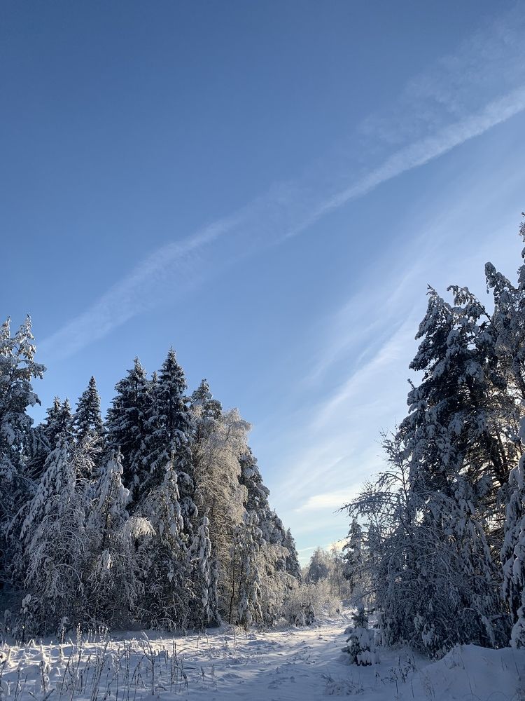 Photograph by Наталья