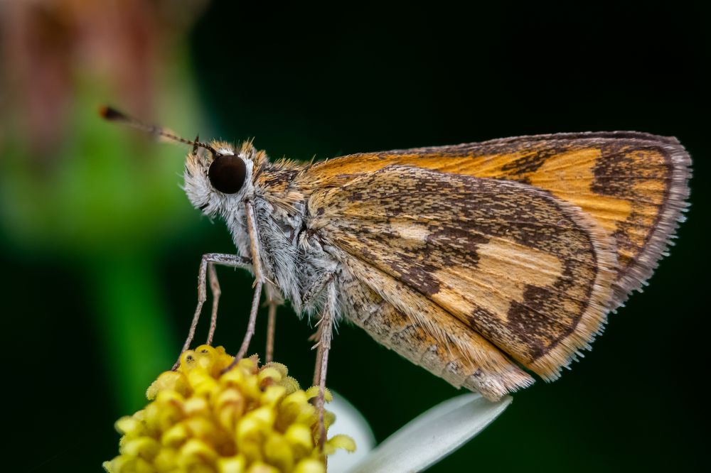 Photograph by achmad kamal kamal