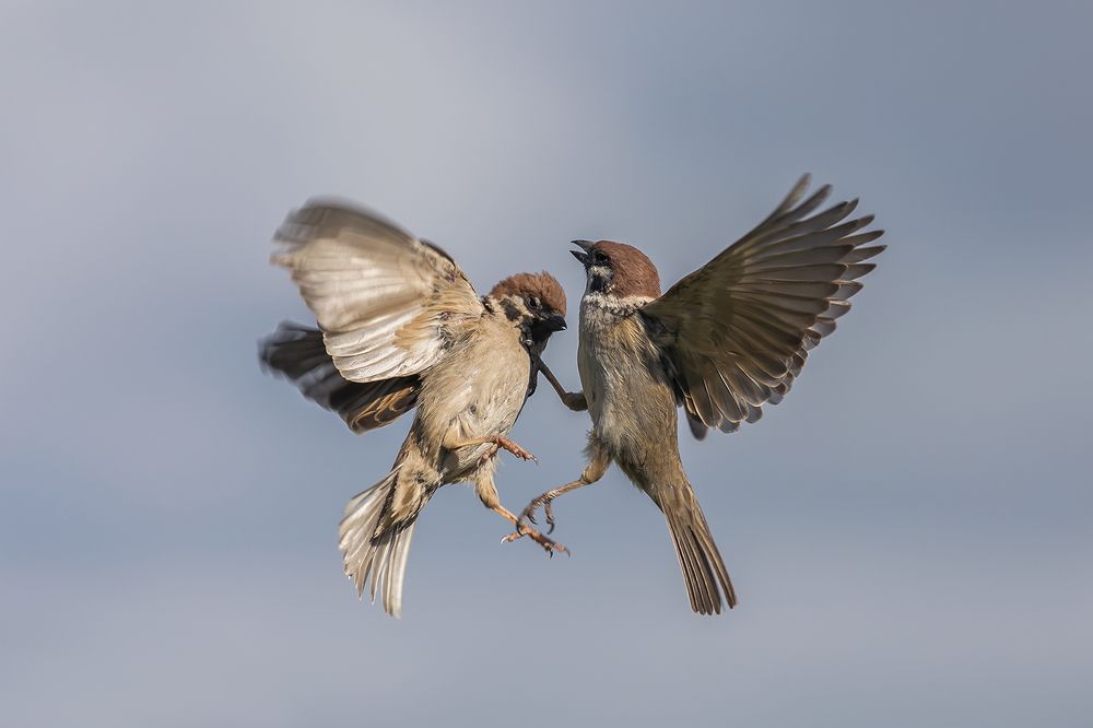 Photograph by Наталья