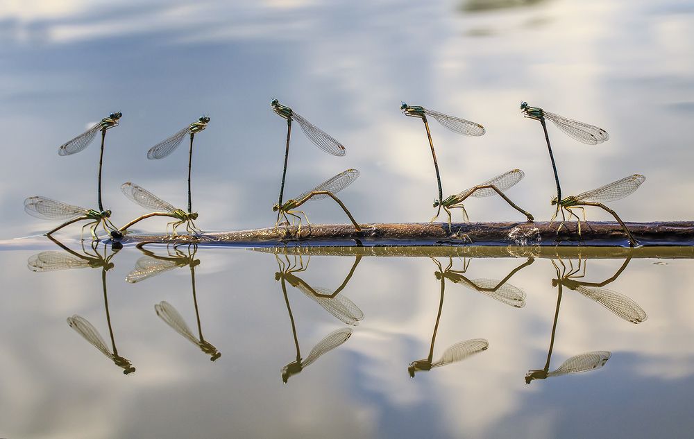 Геометрия любви