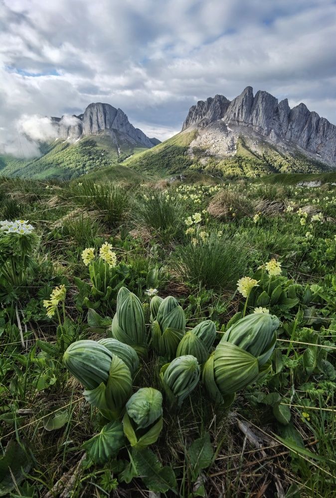 Photograph by Евгений Антонов