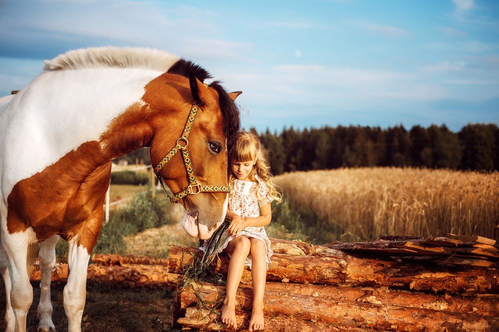 Фотография автора Елена Ходус