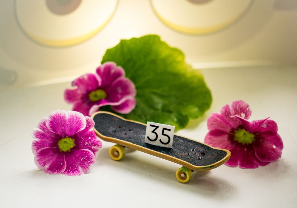 Фотография автора Альбина Хвастунова