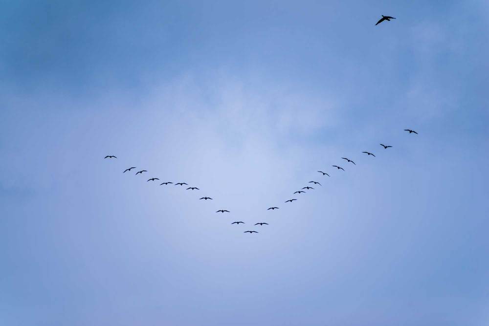 Photograph by Дмитрий Морозов