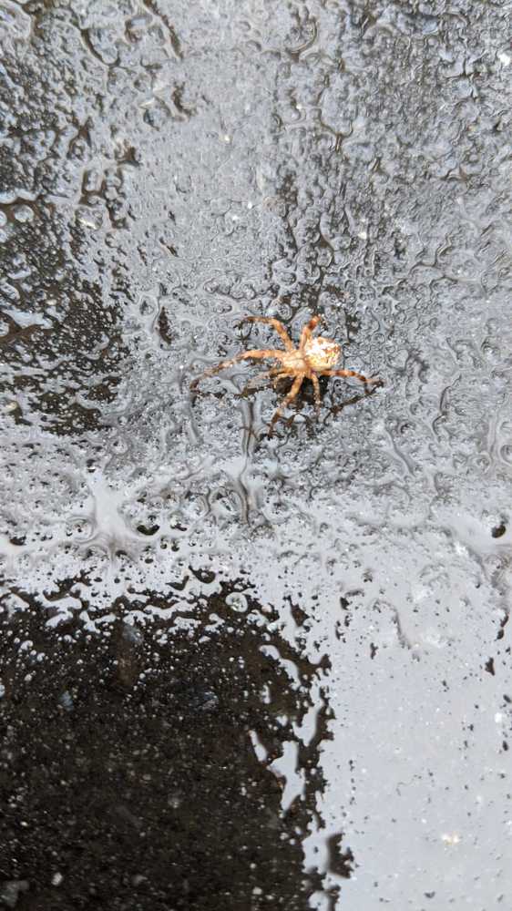 Photograph by Наталия Чайка