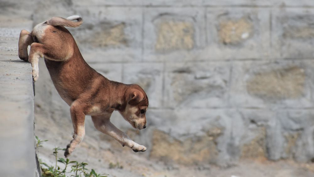 Photograph by Rohit Sinha