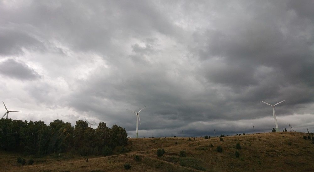 Photo #7204373