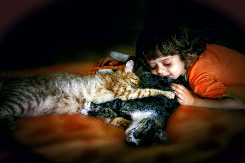 Photograph by Виктор Холодов