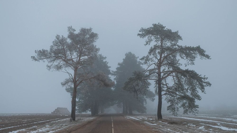 Фотография автора Александр Буренко