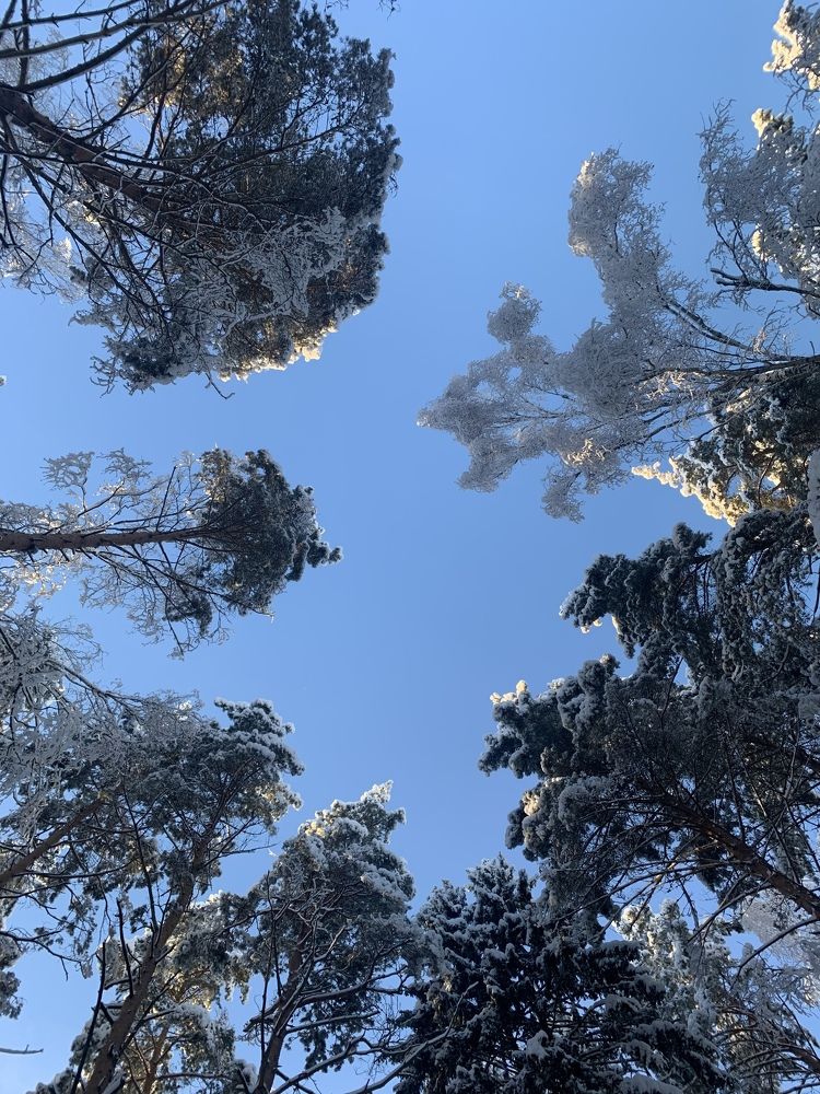 Photograph by Наталья