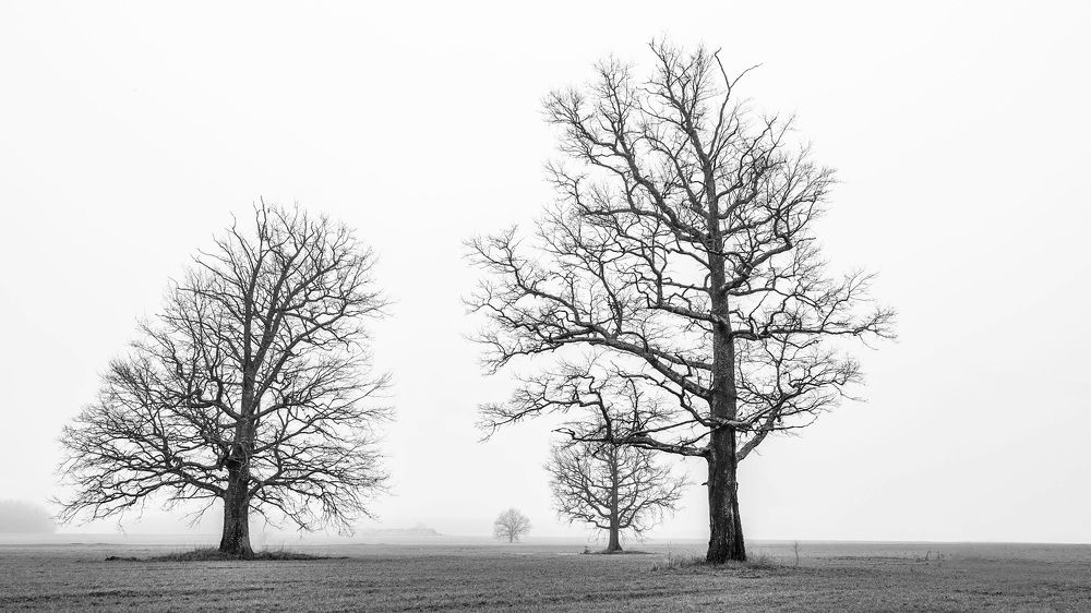 Фотография автора Александр Буренко