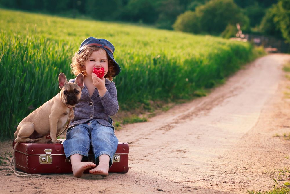 Photograph by Ольга Смачных