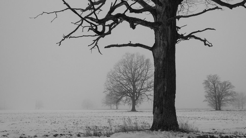 Фотография автора Александр Буренко