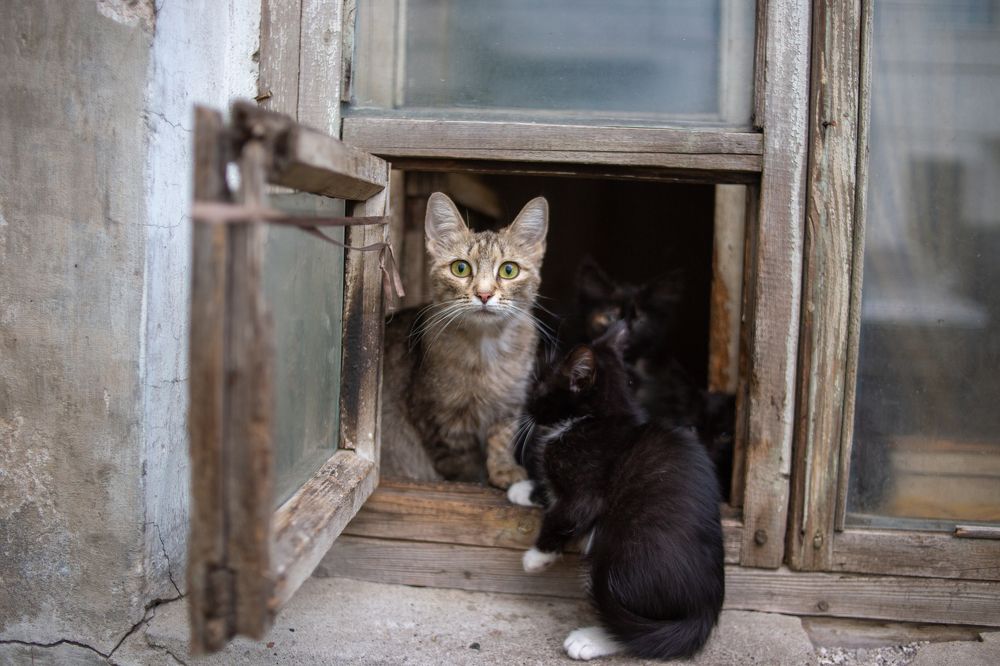 Photograph by Андрей Мертвищев