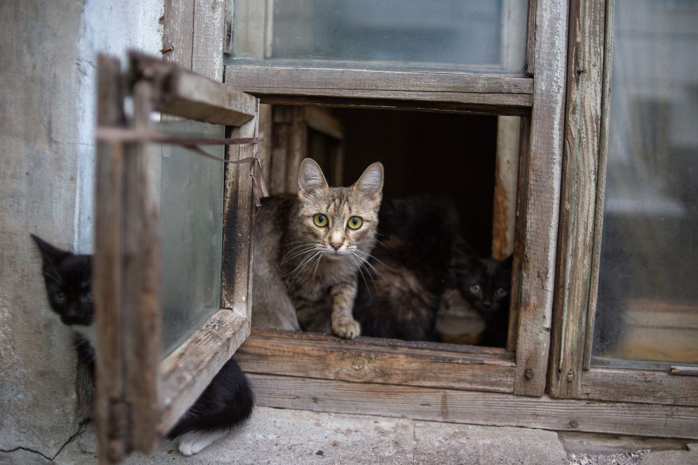 Photograph by Андрей Мертвищев