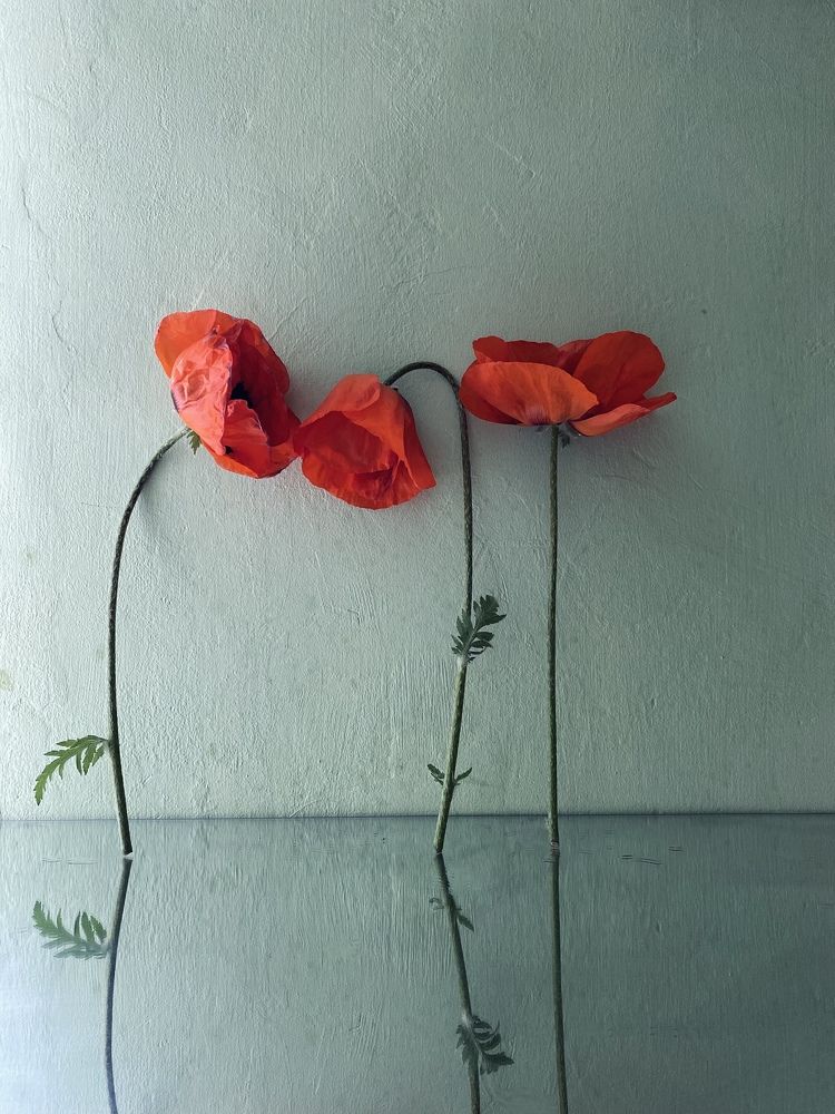 Photograph by Ирина Водяницкая