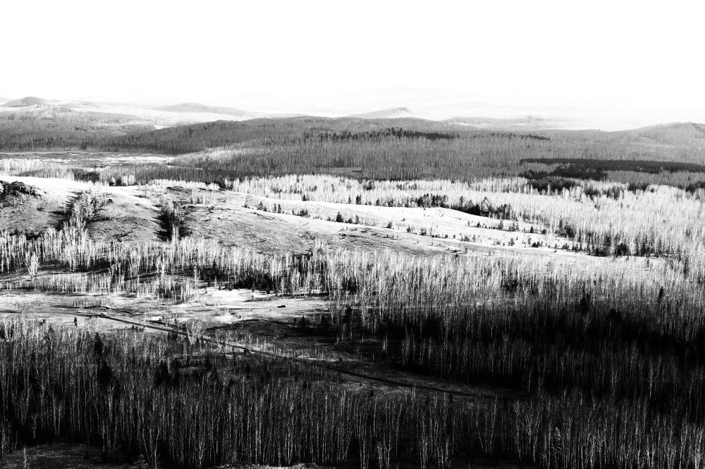 Photograph by Нина