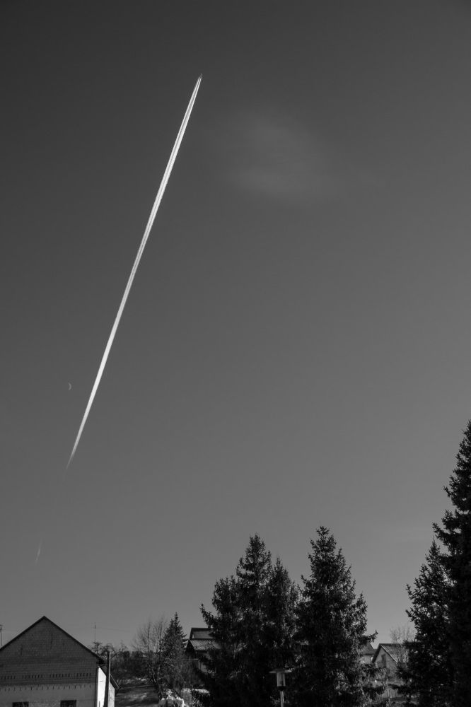 Photograph by Olena Dedova