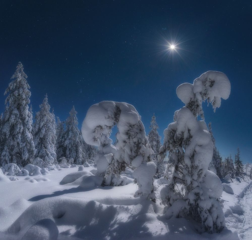 Photograph by Устюжанин Михаил