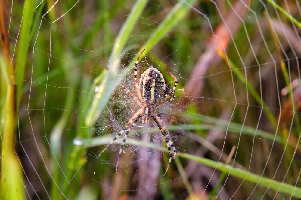 Photograph by Сергей Морозов