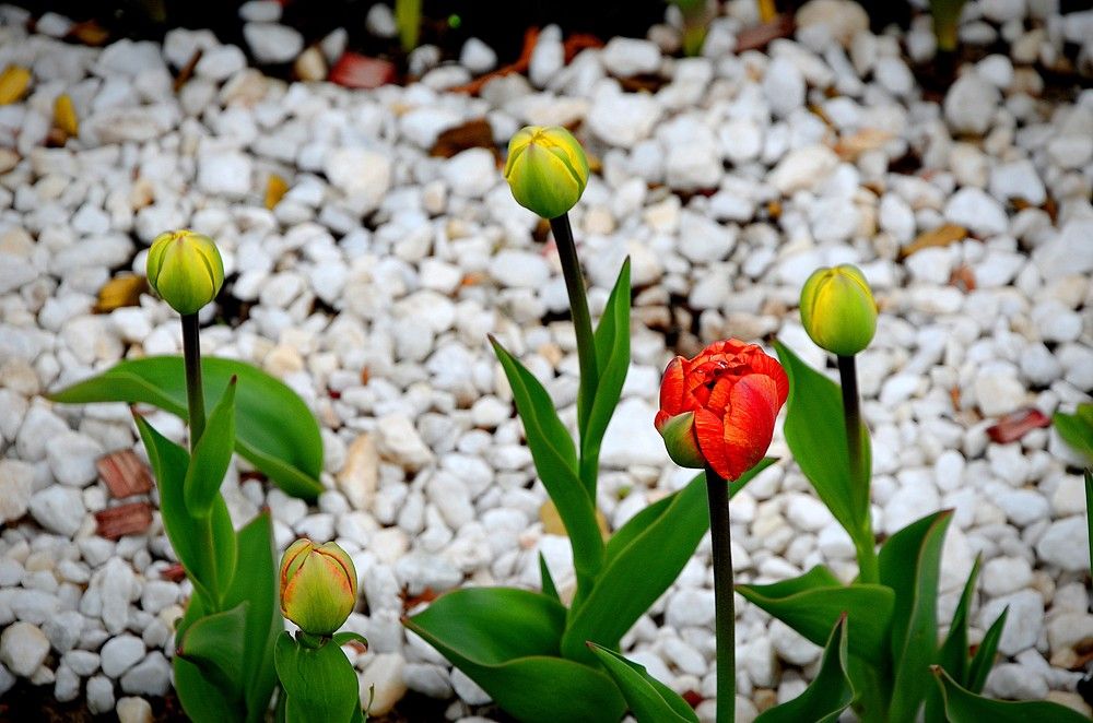 Photograph by Зинаида Фадеева