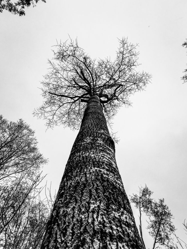 Photograph by Valensia Ludus