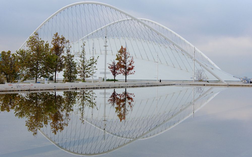 Curves and straight lines.