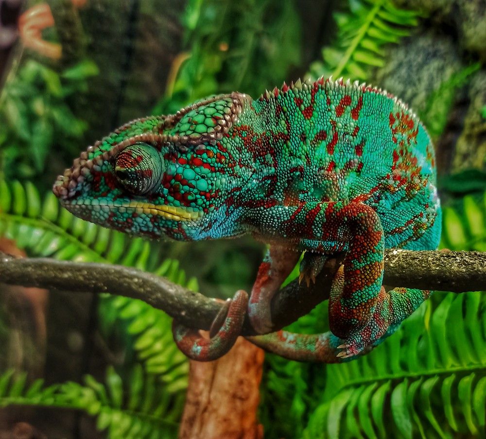 Photograph by Сергей Лобозов