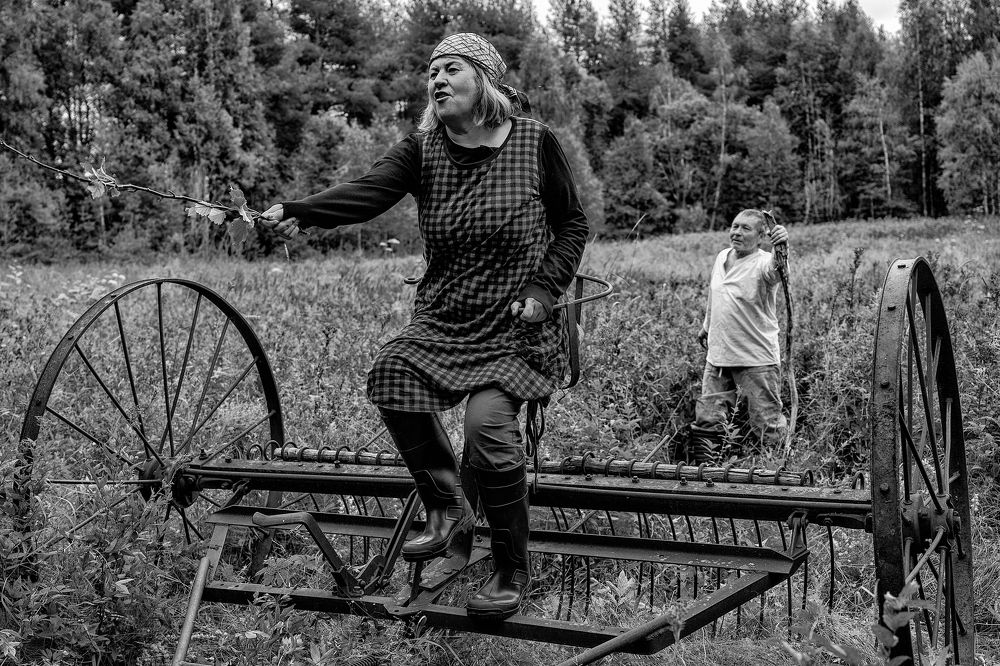 История одного сельскохозяйственного дня прошлого века