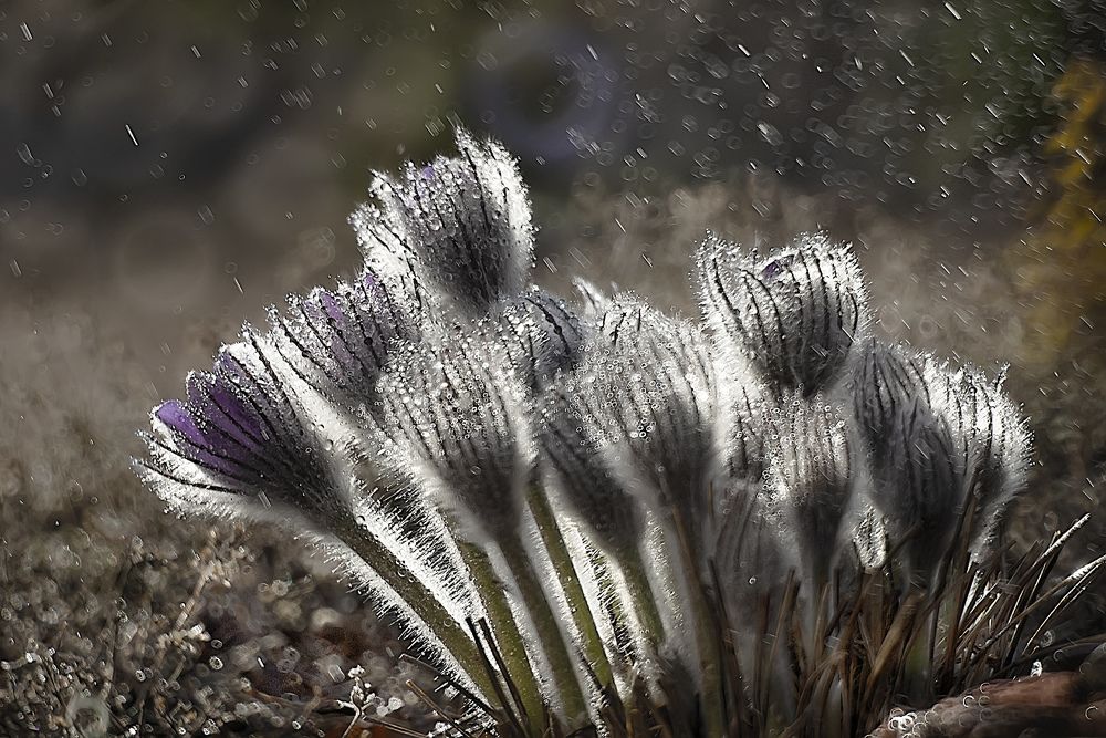 Photograph by Полина Васеева