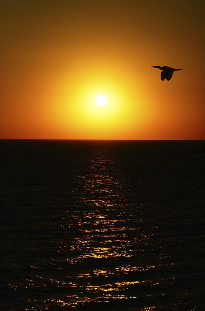 На рассвете