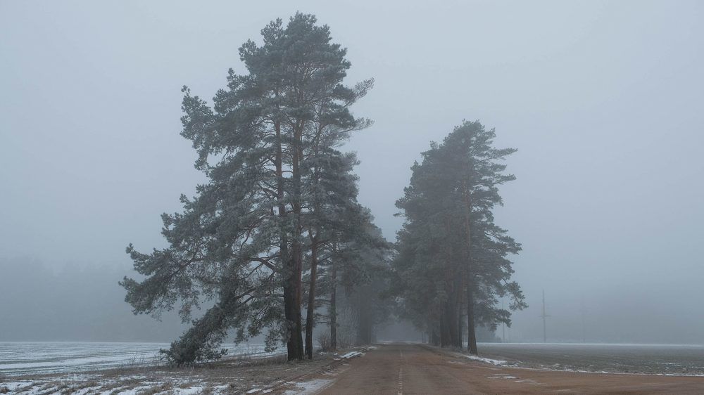 Фотография автора Александр Буренко