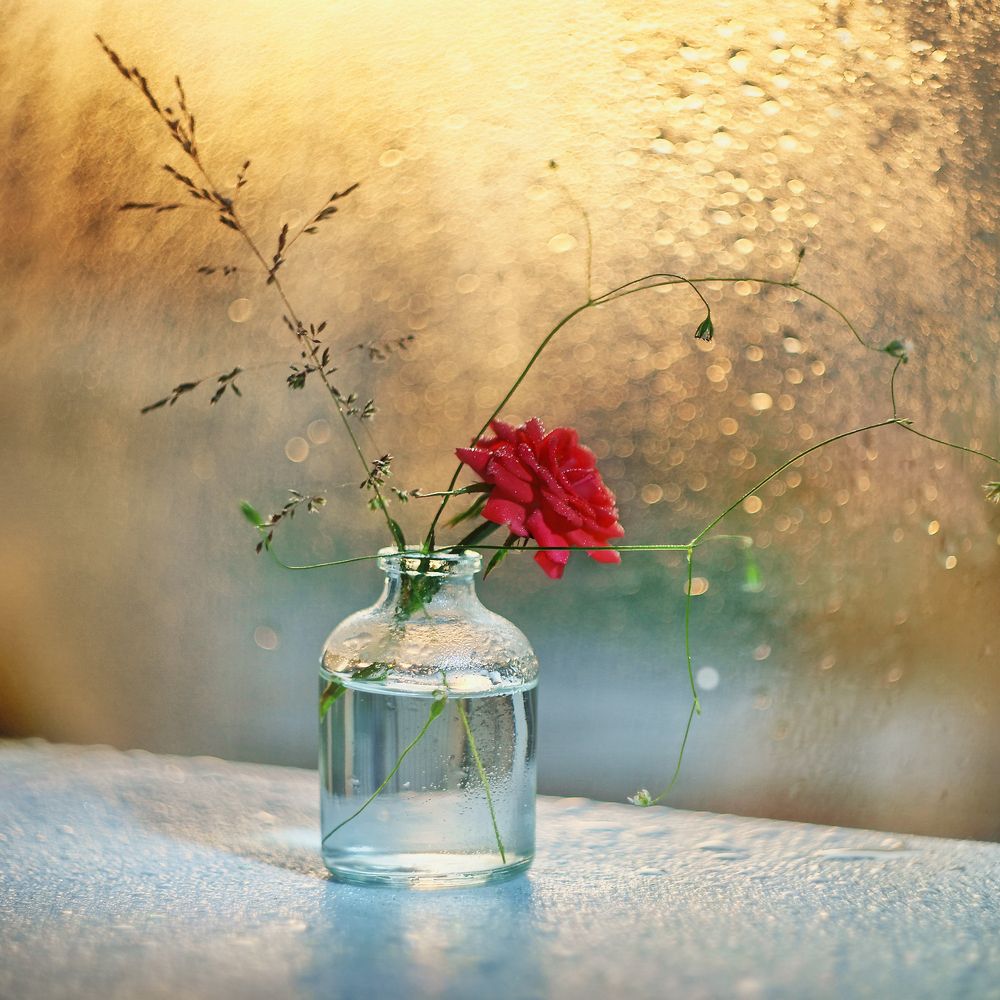 Photograph by Людмила Ефремова