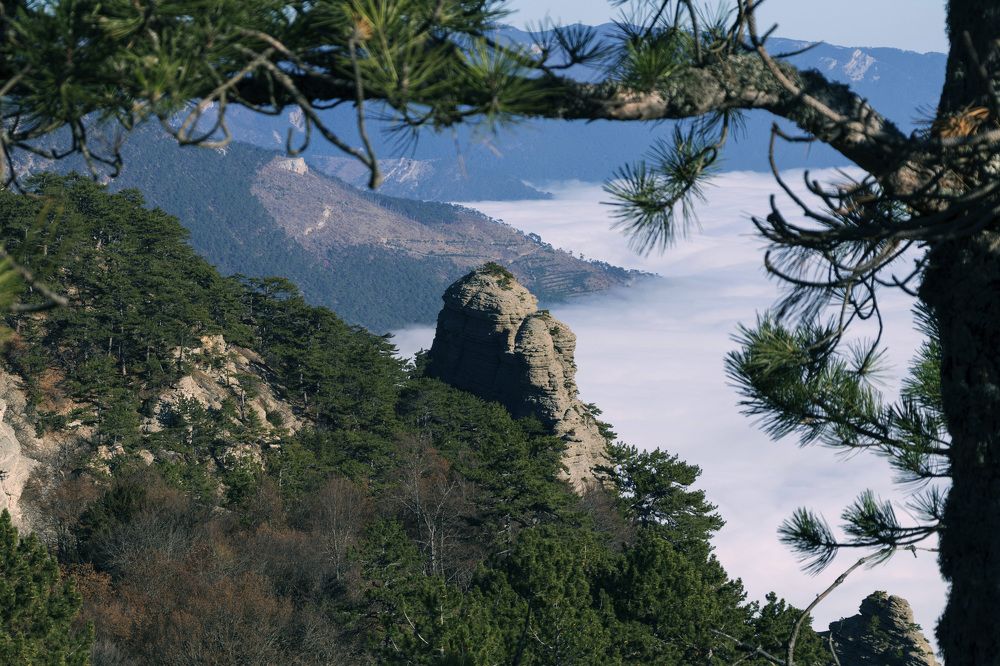 Photograph by Olena Dedova