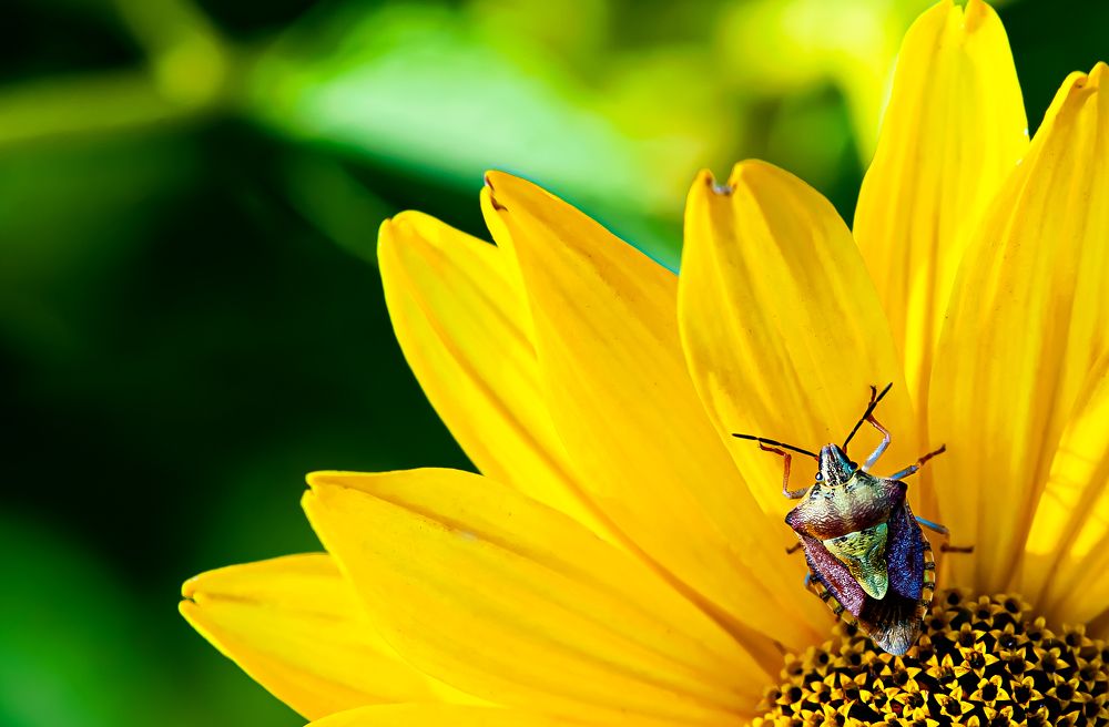 Photograph by Виталий Слёзка