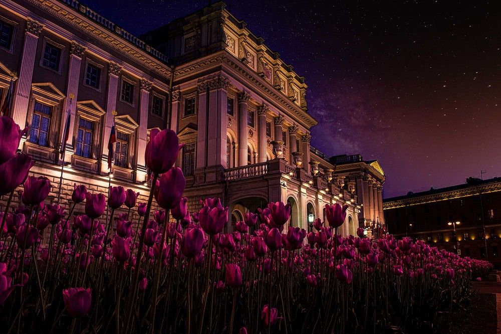 Photograph by Victoria Krasyuk