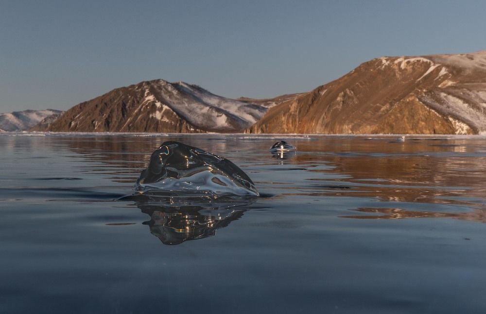 Photograph by Илья Поляк