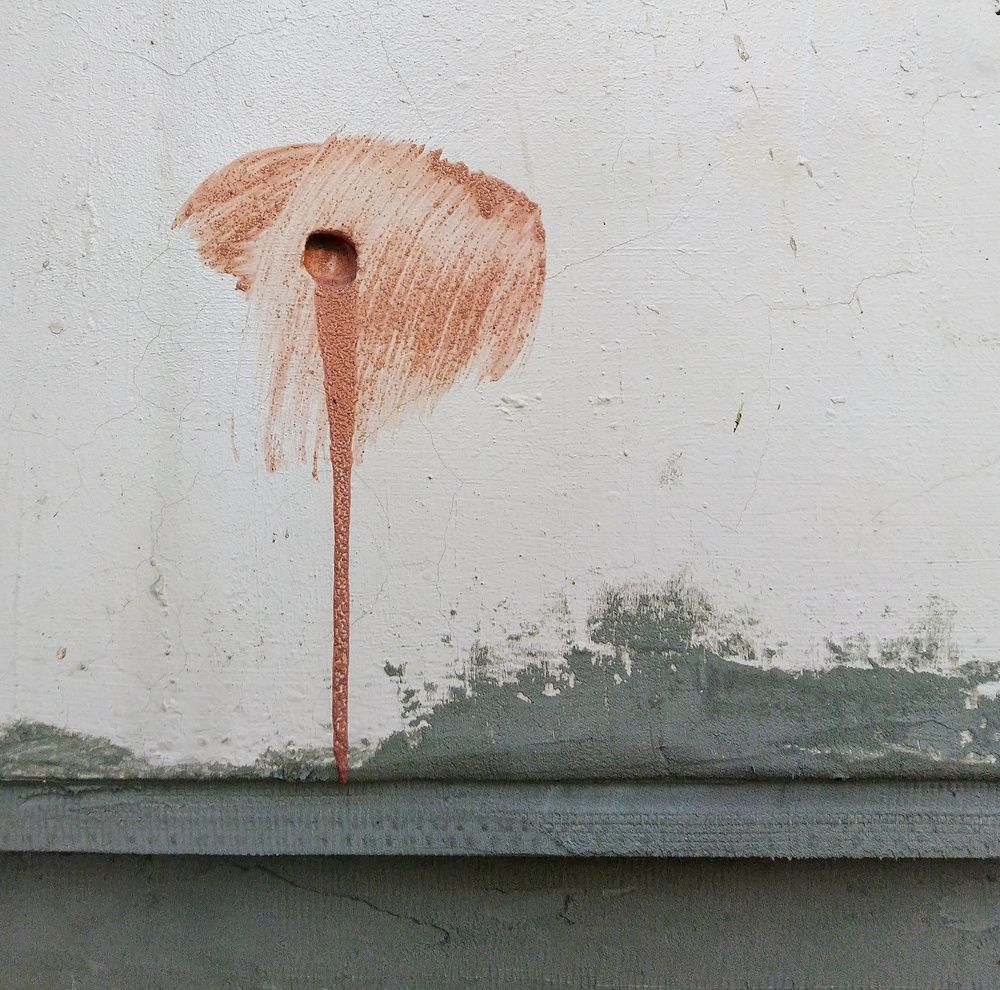 Photograph by Анна Матецкая