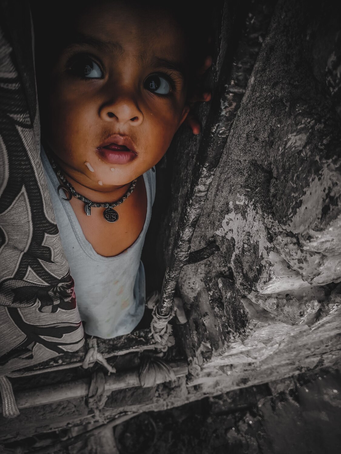 Photo #7205175